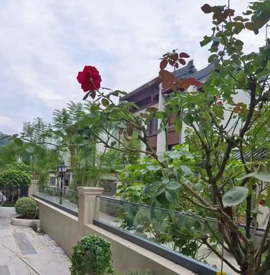 Barandillas de vidrio de aluminio flexible de canal U, barandillas de vidrio sin marco