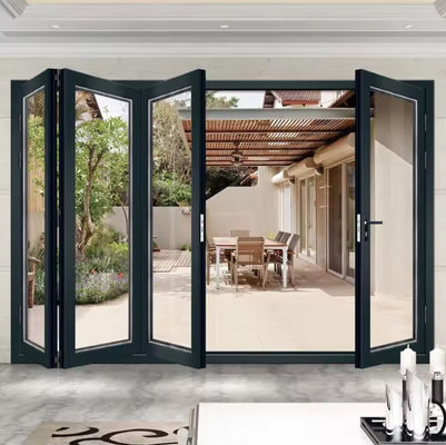 Puertas dobles de aluminio gris con bajo mantenimiento y opciones de vidrio transparente para una alta eficiencia