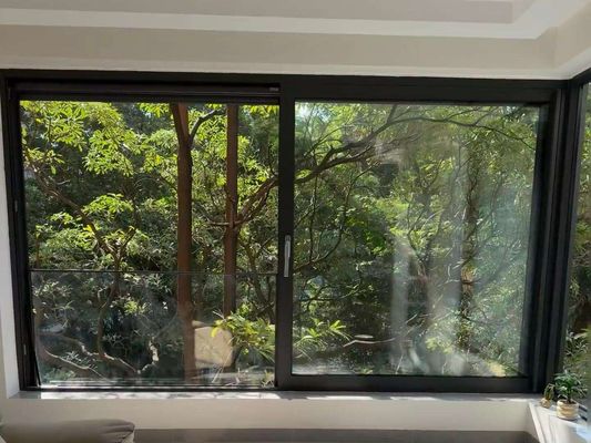 Ventanas de doble acristalamiento de aluminio con marco negro