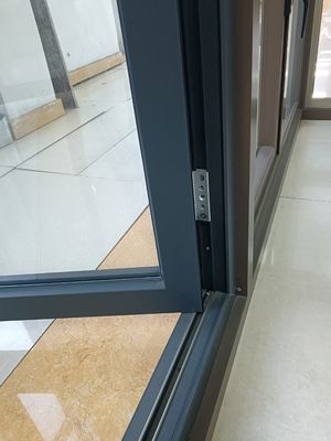 Puertas dobles de aluminio negro con perfil grueso